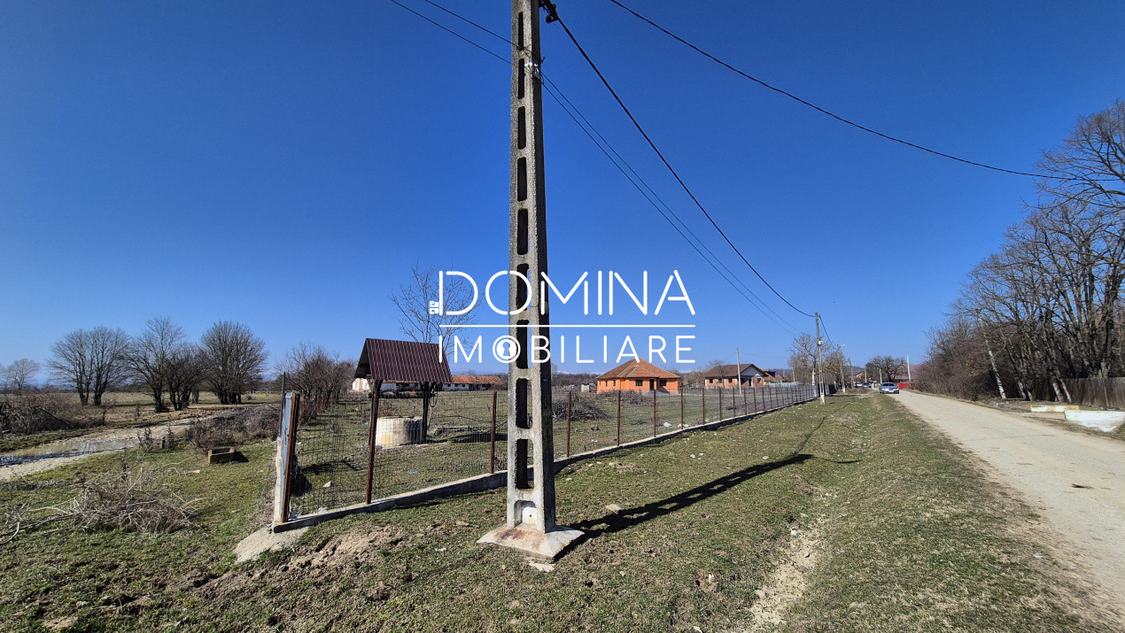 Vânzare casă cu teren generos 8.658 mp, Scoarța – Budieni