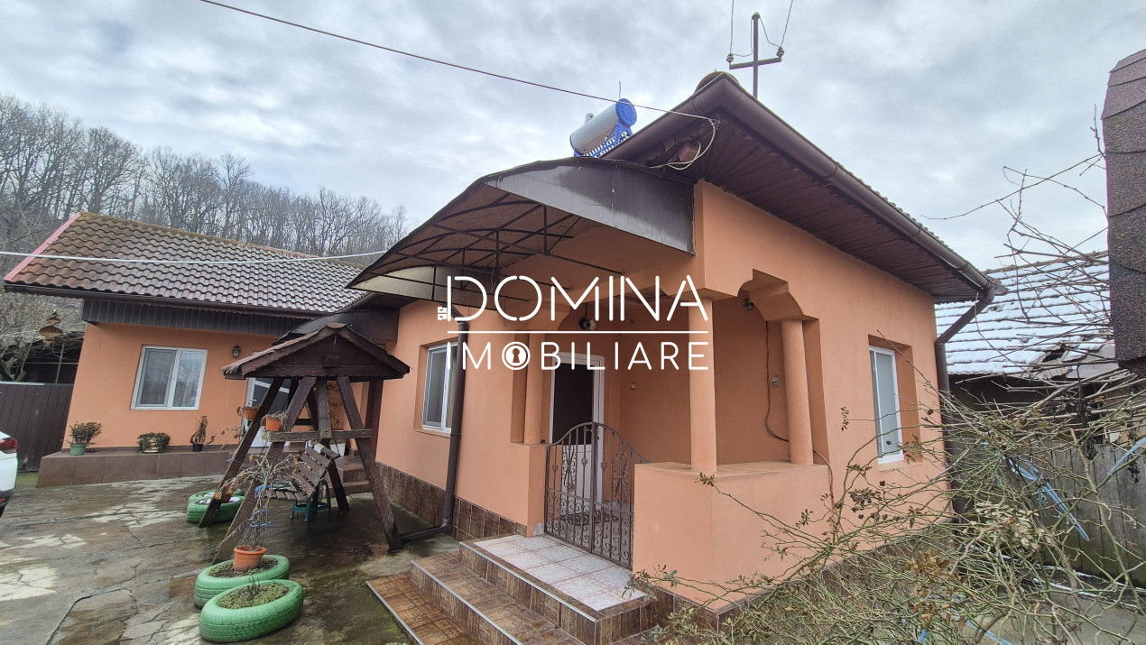 Vânzare proprietate 2 case - teren generos - facilități complete - sat Cârbești