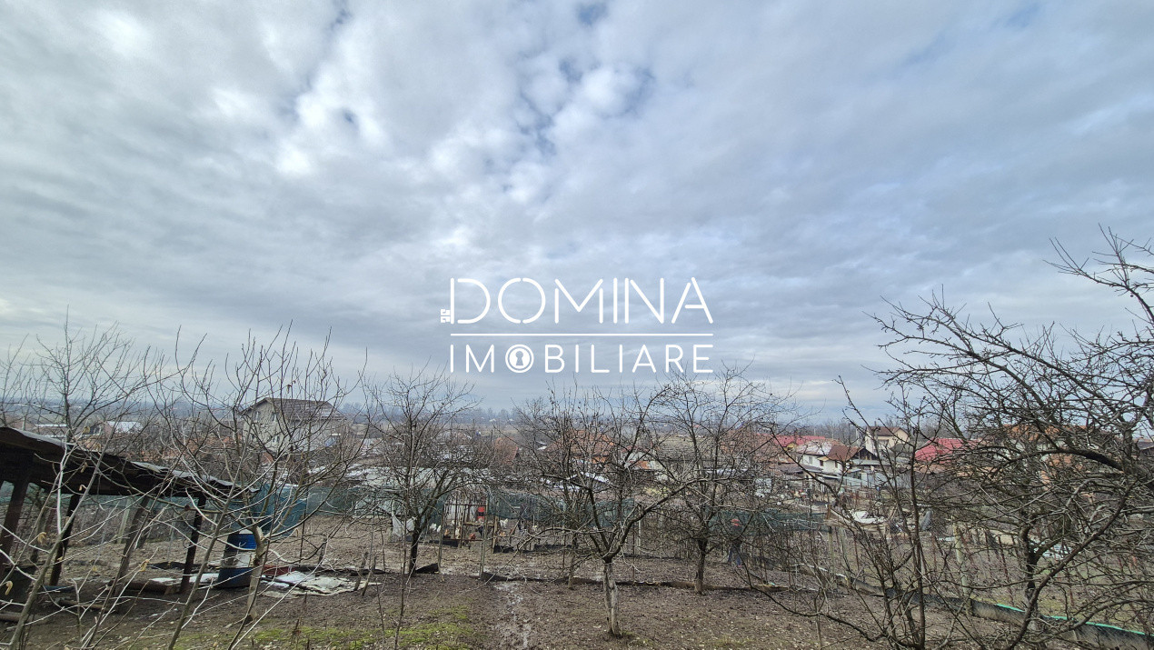 Vânzare proprietate 2 case - teren generos - facilități complete - sat Cârbești