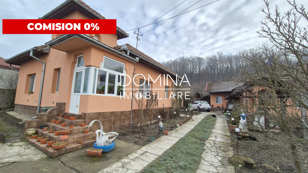 Vânzare proprietate 2 case - teren generos - facilități complete - sat Cârbești